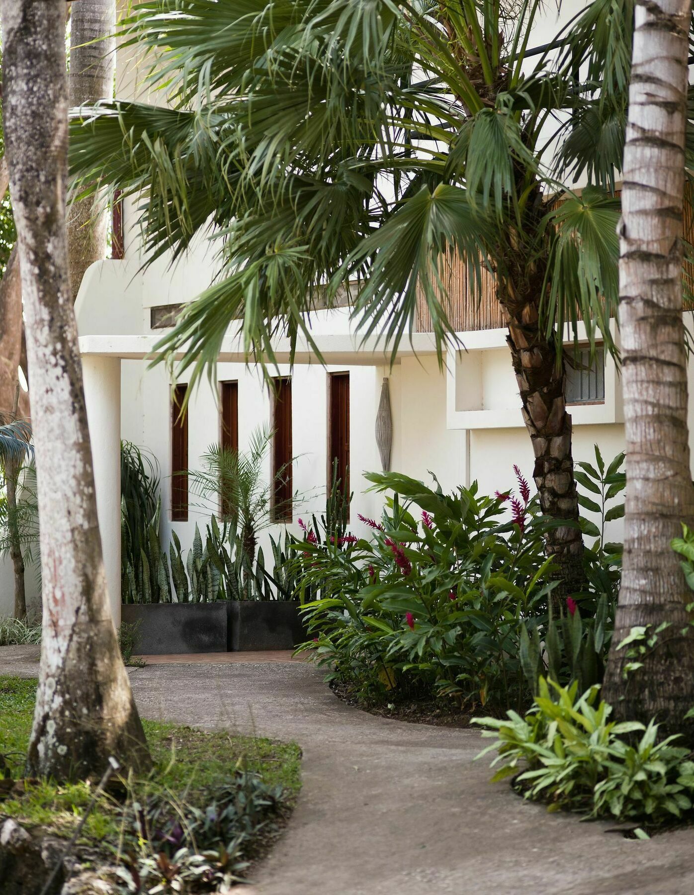 Tierra Magnifica Boutique Hotel Nosara Luaran gambar